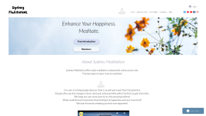 Latest meditationsyd.org screenshot